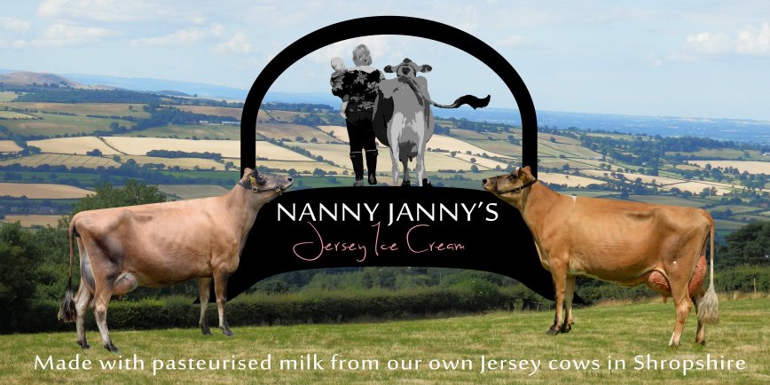 Nanny Janny Logo